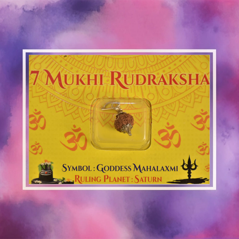 7 Mukhi Rudraksha