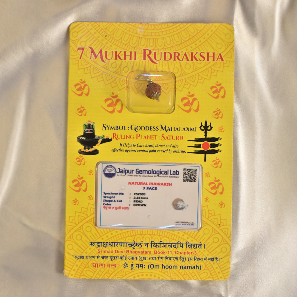 7 Mukhi Rudraksha – Certified Natural | For Wealth, Healing & Saturn Protection