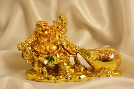 Saubhagaya global resin multicolor vastu, turtle on golden dragon