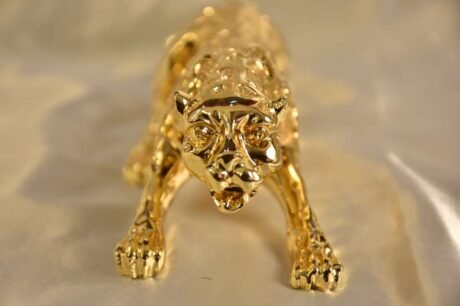 Numeroastro Leopard - Image 3
