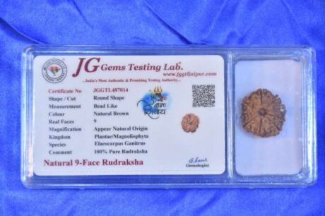 9-mukhi Rudraksha